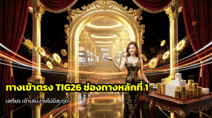 ทางเข้าตรง TIG26